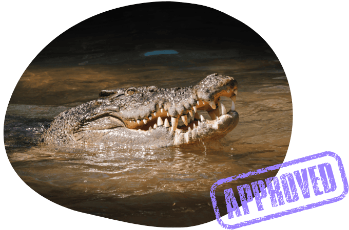 Palmerston auto finance